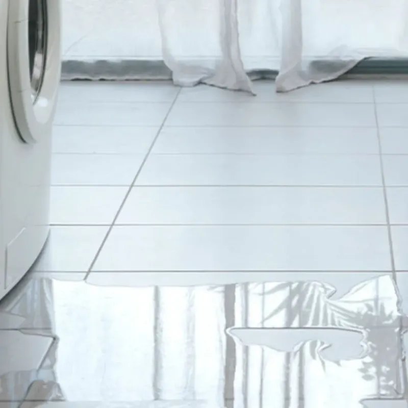Appliance Leak Cleanup in Hayward, WI