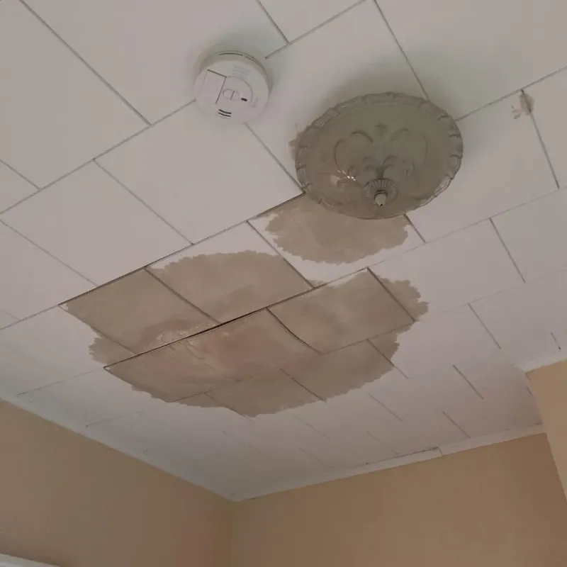 Ceiling Water Damage Repair in Hayward, WI