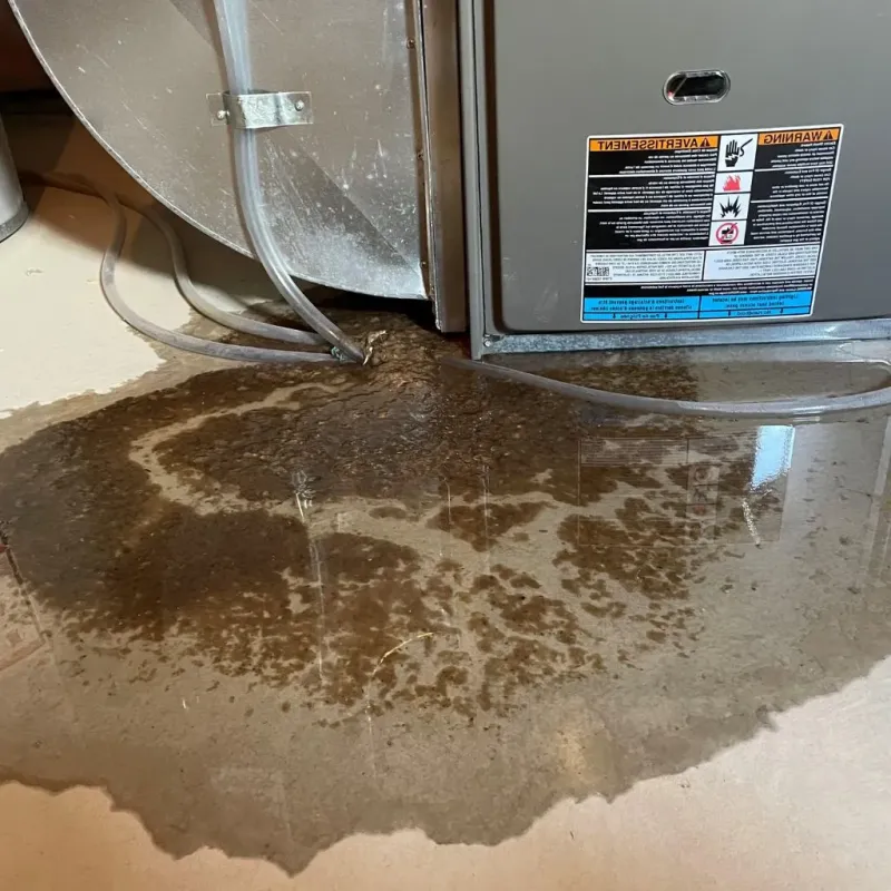 Pipe Burst and Leak Restoration in Hayward, WI